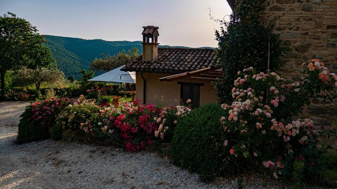 Il Casale Di Fiore Cannara Luaran gambar