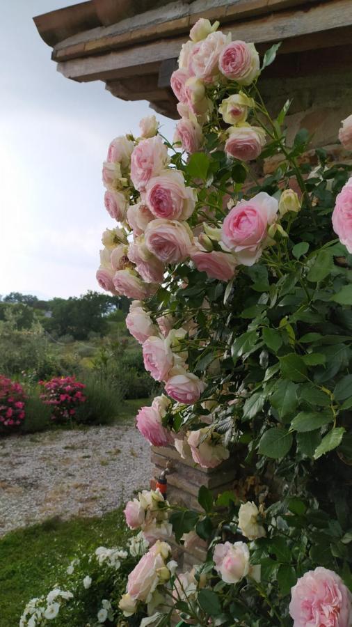 Il Casale Di Fiore Cannara Luaran gambar