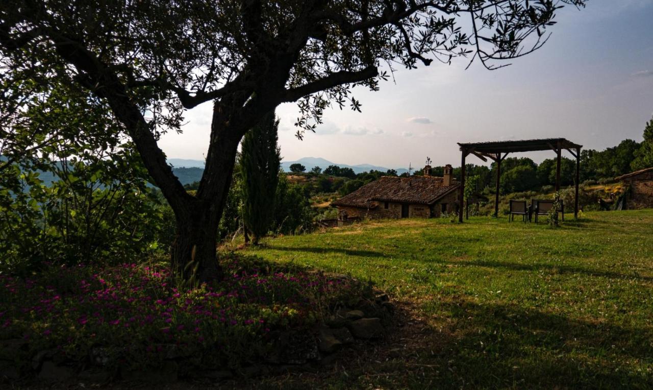 Il Casale Di Fiore Cannara Luaran gambar