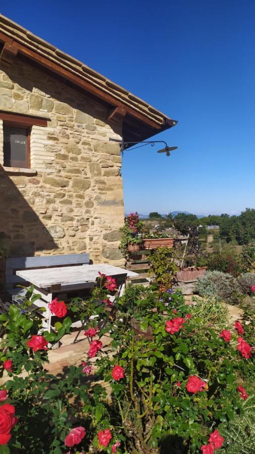 Il Casale Di Fiore Cannara Luaran gambar