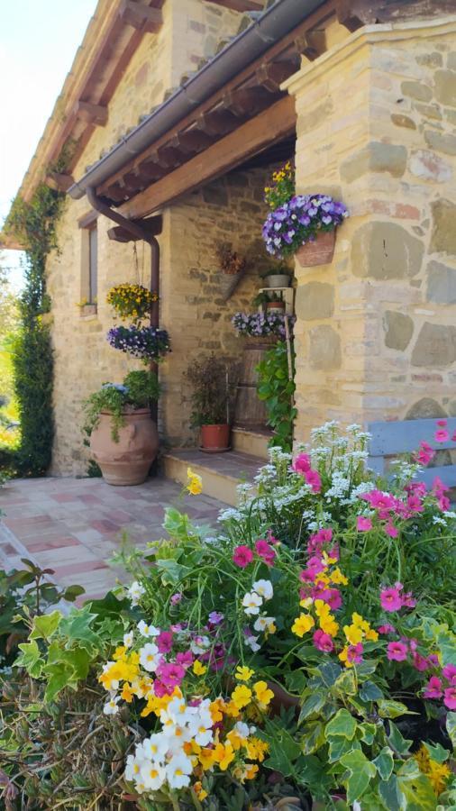 Il Casale Di Fiore Cannara Luaran gambar