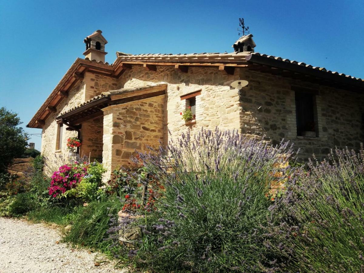 Il Casale Di Fiore Cannara Luaran gambar